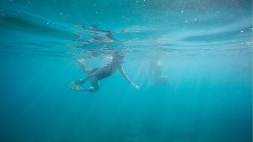 How Sunscreen Ingredients Accumulate in Marine Ecosystems