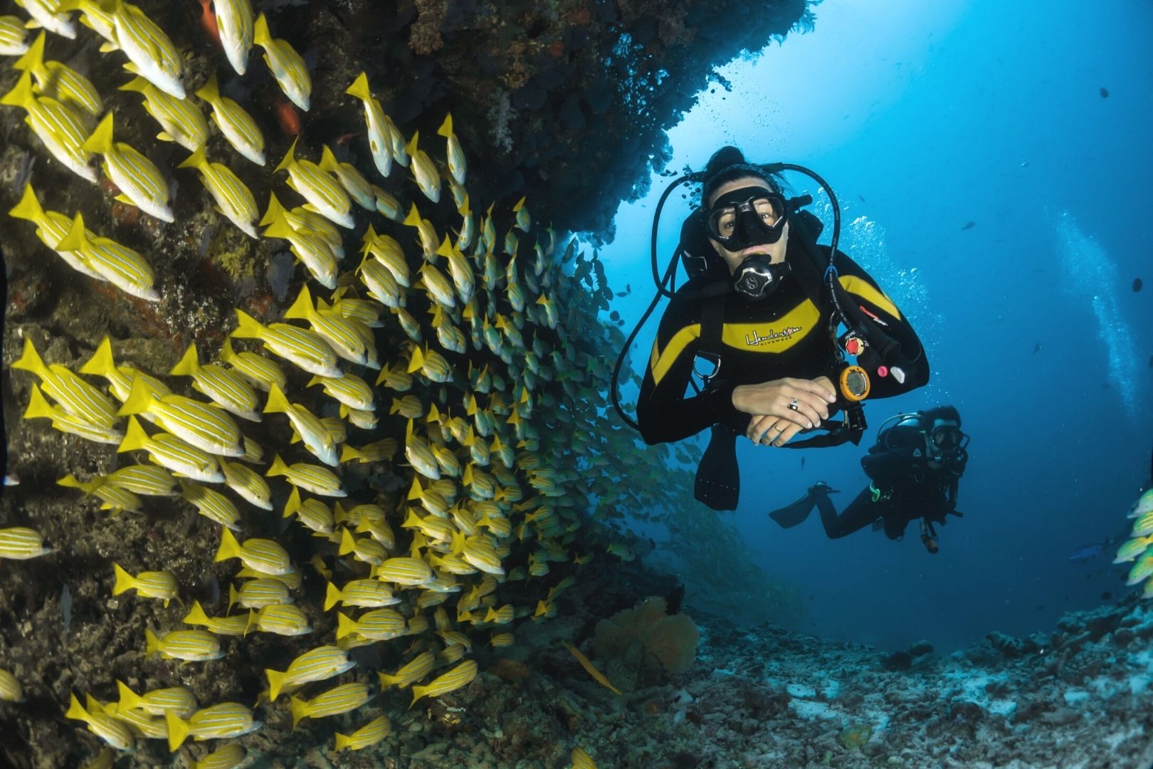 A person scuba diving next to a school of fish