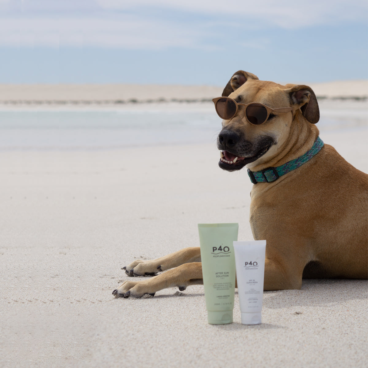 Cruelty Free Sunscreen: How to Find a Product with Principles